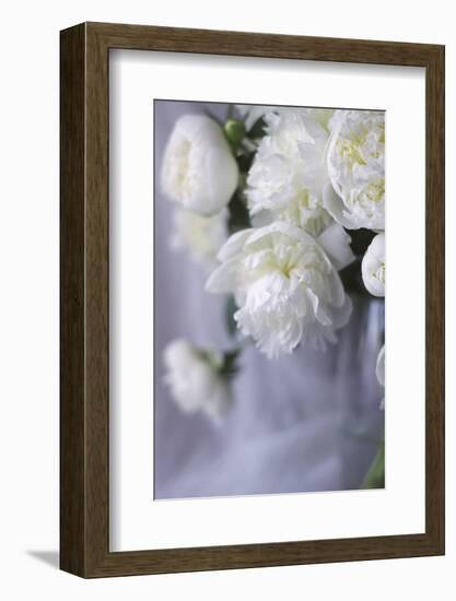 White Peonies in a Vase-Anna Miller-Framed Photographic Print