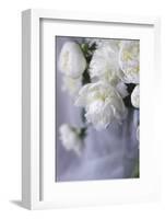 White Peonies in a Vase-Anna Miller-Framed Photographic Print