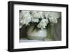 White peonies in cream pitcher-Anna Miller-Framed Photographic Print