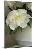 White peonies in cream pitcher-Anna Miller-Mounted Photographic Print