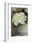 White peonies in cream pitcher-Anna Miller-Framed Photographic Print