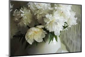 White peonies in cream pitcher-Anna Miller-Mounted Photographic Print