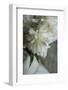 White peonies in cream pitcher-Anna Miller-Framed Photographic Print