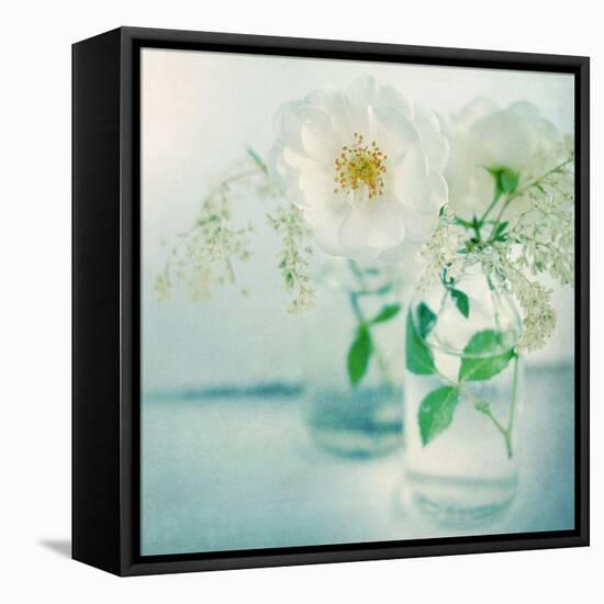 White Peonies-Sarah Gardner-Framed Stretched Canvas