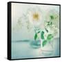 White Peonies-Sarah Gardner-Framed Stretched Canvas