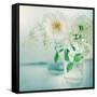 White Peonies-Sarah Gardner-Framed Stretched Canvas