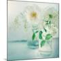 White Peonies-Sarah Gardner-Mounted Photographic Print