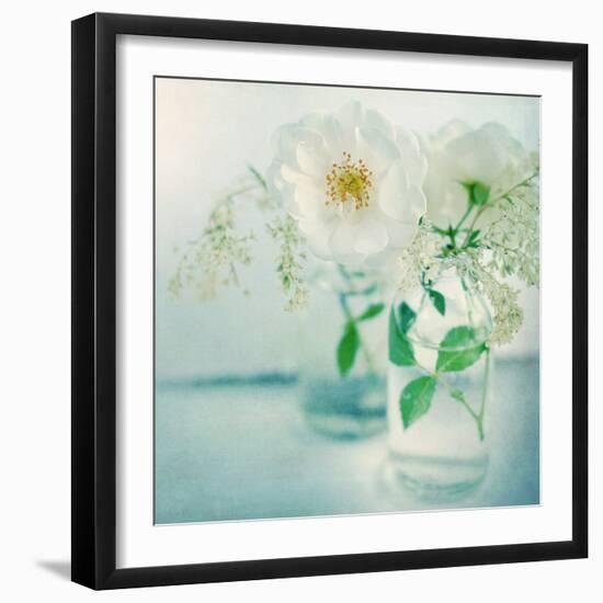 White Peonies-Sarah Gardner-Framed Photographic Print