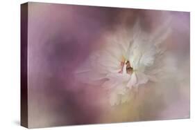 White Peony 1-Jai Johnson-Stretched Canvas