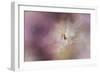 White Peony 1-Jai Johnson-Framed Giclee Print