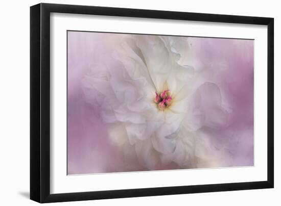 White Peony 4-Jai Johnson-Framed Giclee Print