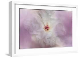 White Peony 4-Jai Johnson-Framed Giclee Print