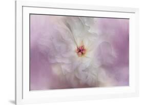 White Peony 4-Jai Johnson-Framed Giclee Print