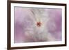 White Peony 4-Jai Johnson-Framed Giclee Print