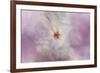 White Peony 4-Jai Johnson-Framed Giclee Print