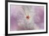 White Peony 4-Jai Johnson-Framed Giclee Print