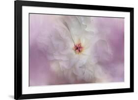 White Peony 4-Jai Johnson-Framed Giclee Print