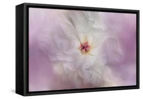 White Peony 4-Jai Johnson-Framed Stretched Canvas