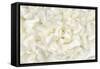 White Peony Flower-Cora Niele-Framed Stretched Canvas