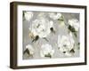 White Peony Garden-Asia Jensen-Framed Art Print