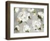 White Peony Garden-Asia Jensen-Framed Art Print