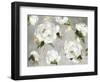 White Peony Garden-Asia Jensen-Framed Art Print