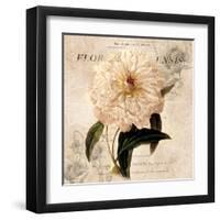 White Peony I-Carol Robinson-Framed Art Print