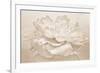 White Peony-Cora Niele-Framed Photographic Print