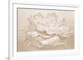 White Peony-Cora Niele-Framed Photographic Print