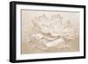 White Peony-Cora Niele-Framed Photographic Print