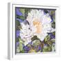 White Peony-Sharon Pitts-Framed Giclee Print