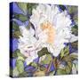 White Peony-Sharon Pitts-Stretched Canvas