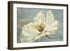 White Peony-Patricia Pinto-Framed Premium Giclee Print