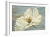 White Peony-Patricia Pinto-Framed Premium Giclee Print