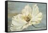 White Peony-Patricia Pinto-Framed Stretched Canvas