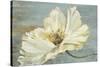 White Peony-Patricia Pinto-Stretched Canvas