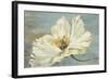 White Peony-Patricia Pinto-Framed Art Print