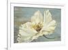 White Peony-Patricia Pinto-Framed Art Print