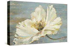 White Peony-Patricia Pinto-Stretched Canvas