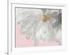 White Peony-Asia Jensen-Framed Art Print