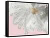 White Peony-Asia Jensen-Framed Stretched Canvas