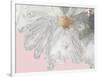 White Peony-Asia Jensen-Framed Art Print