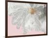 White Peony-Asia Jensen-Framed Art Print