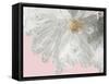 White Peony-Asia Jensen-Framed Stretched Canvas