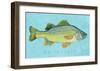 White Perch-John Golden-Framed Art Print