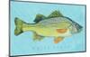 White Perch-John Golden-Mounted Art Print