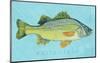 White Perch-John Golden-Mounted Giclee Print