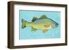 White Perch-John W^ Golden-Framed Art Print