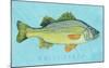 White Perch-John W^ Golden-Mounted Art Print