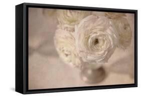 White Persian Buttercup Still Life-Cora Niele-Framed Stretched Canvas